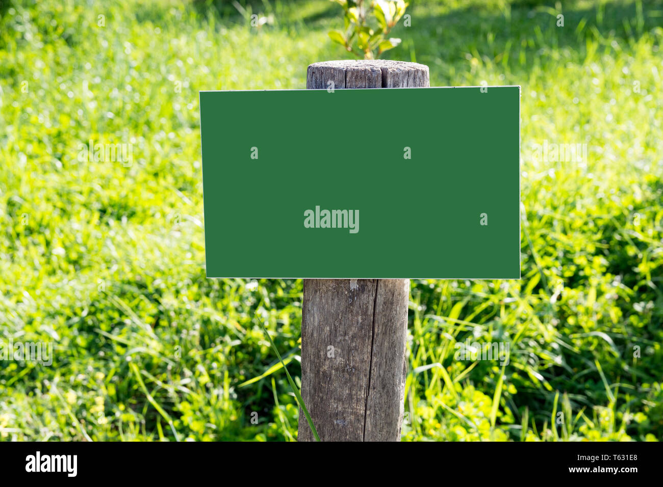 empty wooden billboard in the forest Stock Photo - Alamy