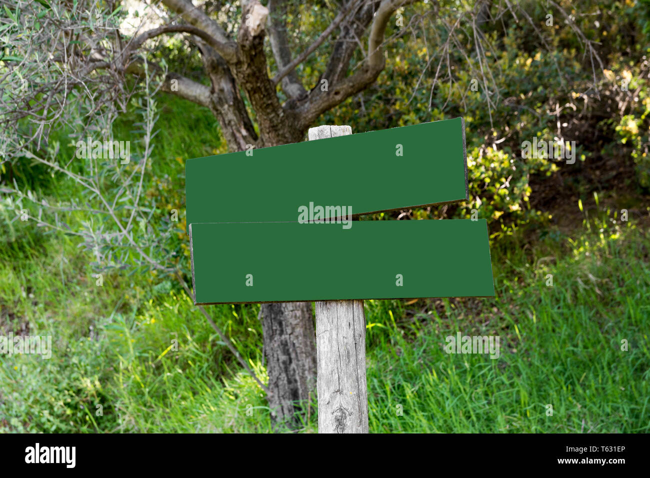 empty wooden billboard in the forest Stock Photo - Alamy