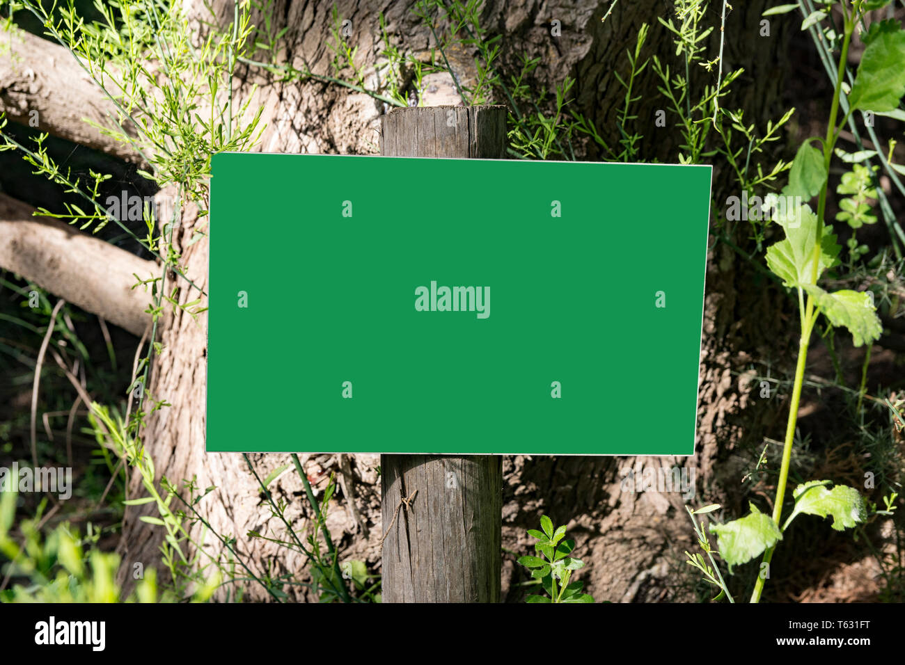 empty wooden billboard in the forest Stock Photo - Alamy