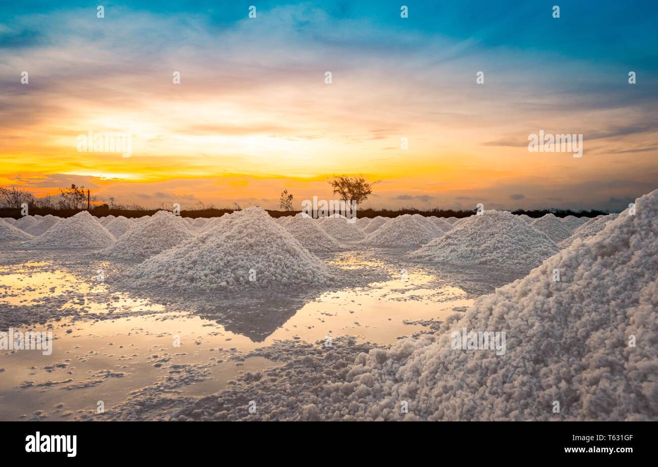 salt-farm-in-the-morning-with-sunrise-sky-organic-sea-salt