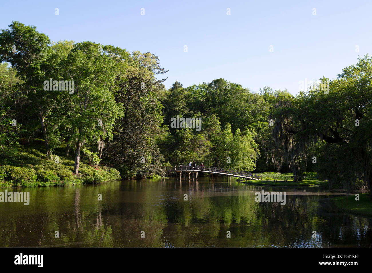 Lake at Middleton Place National Historic Landmark near Charleston in ...