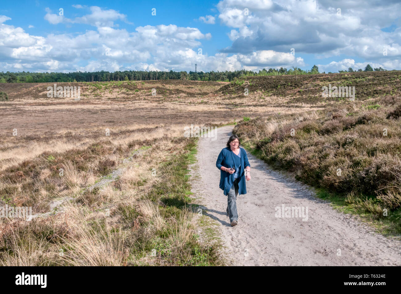 Woman walking at Dersingham Bog, Norfolk.  It is the largest remaining example of acid valley mire habitat in East Anglia. Stock Photo