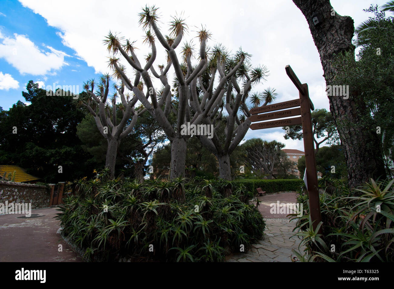Botanic gardens in Gibraltar Stock Photo - Alamy