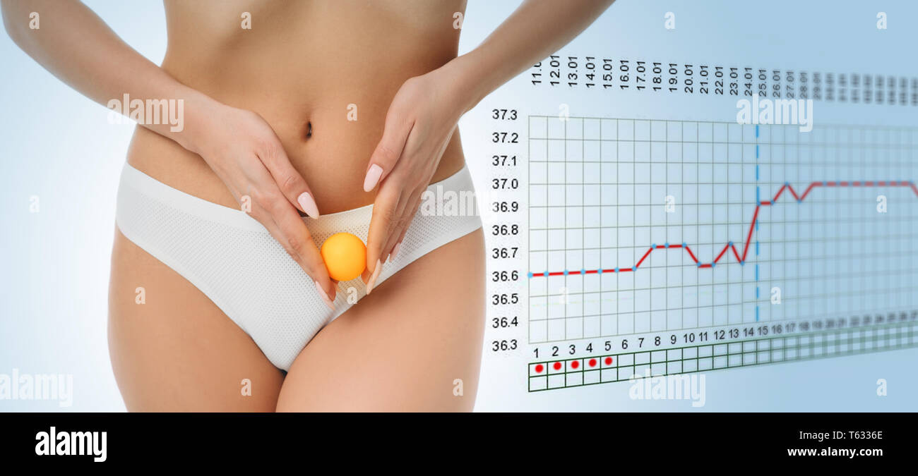 Овуляция картинки смешные