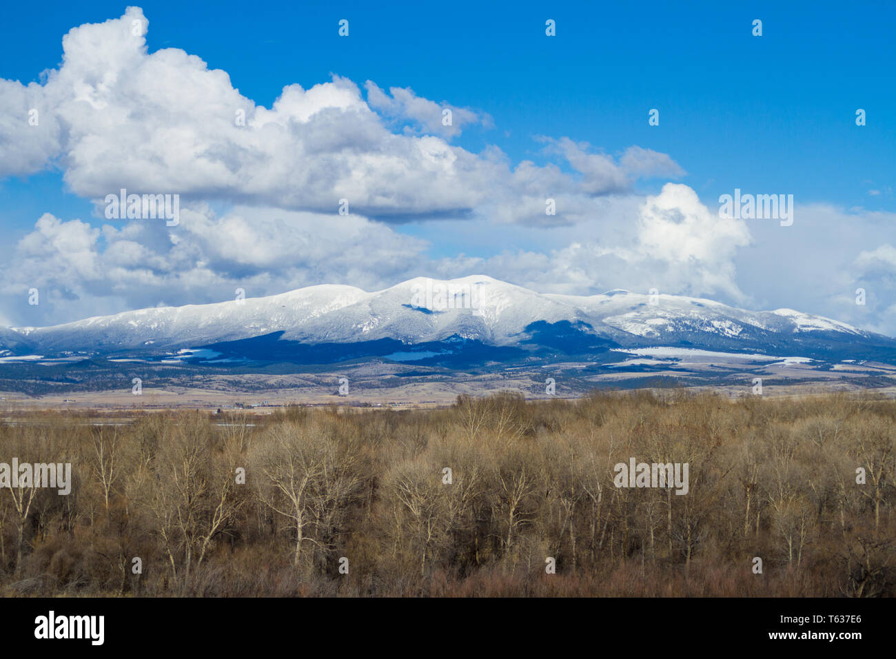 Big belt mountains hires stock photography and images Alamy