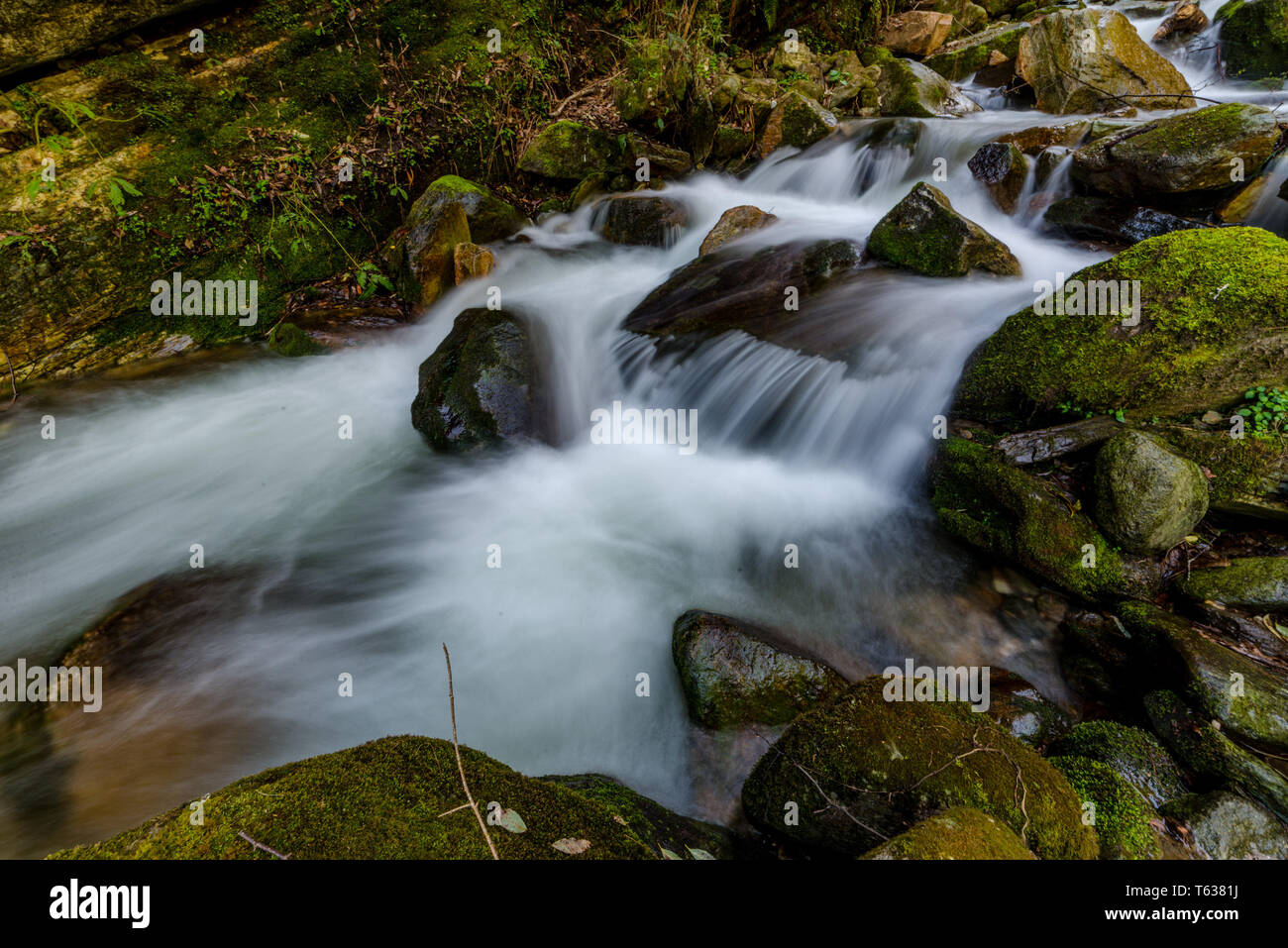 Photo of milky Water stream in himalayas - waterfall inIndia Stock ...