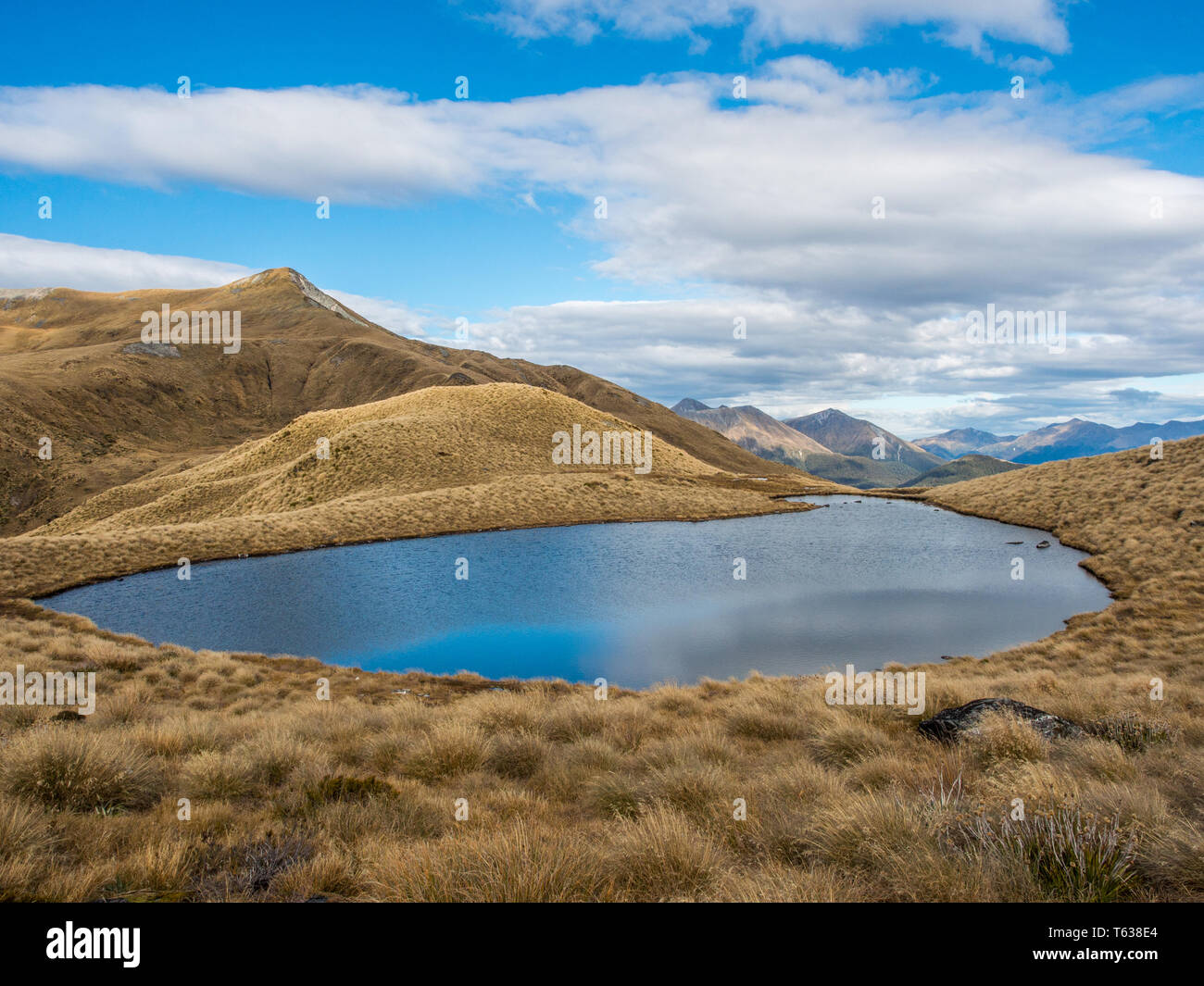 Alpine tarn, in tussock country, above the treeline, view of distant mountains, Mt Burns Track, Fiordland National Park, Southland, New Zealand Stock Photo
