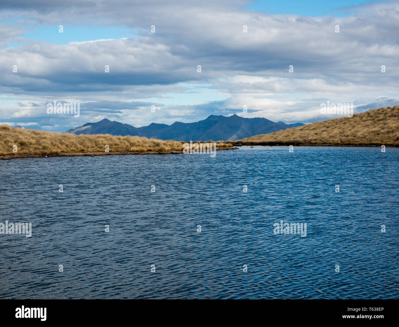 Alpine tarn, in tussock country, above the treeline, view of distant mountains, Mt Burns Track, Fiordland National Park, Southland, New Zealand Stock Photo