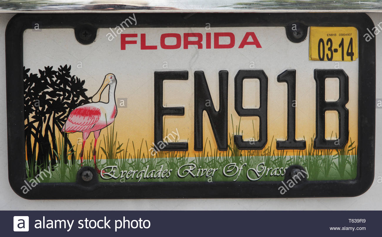 Florida Sunshine State Number Plate High Resolution Stock Photography