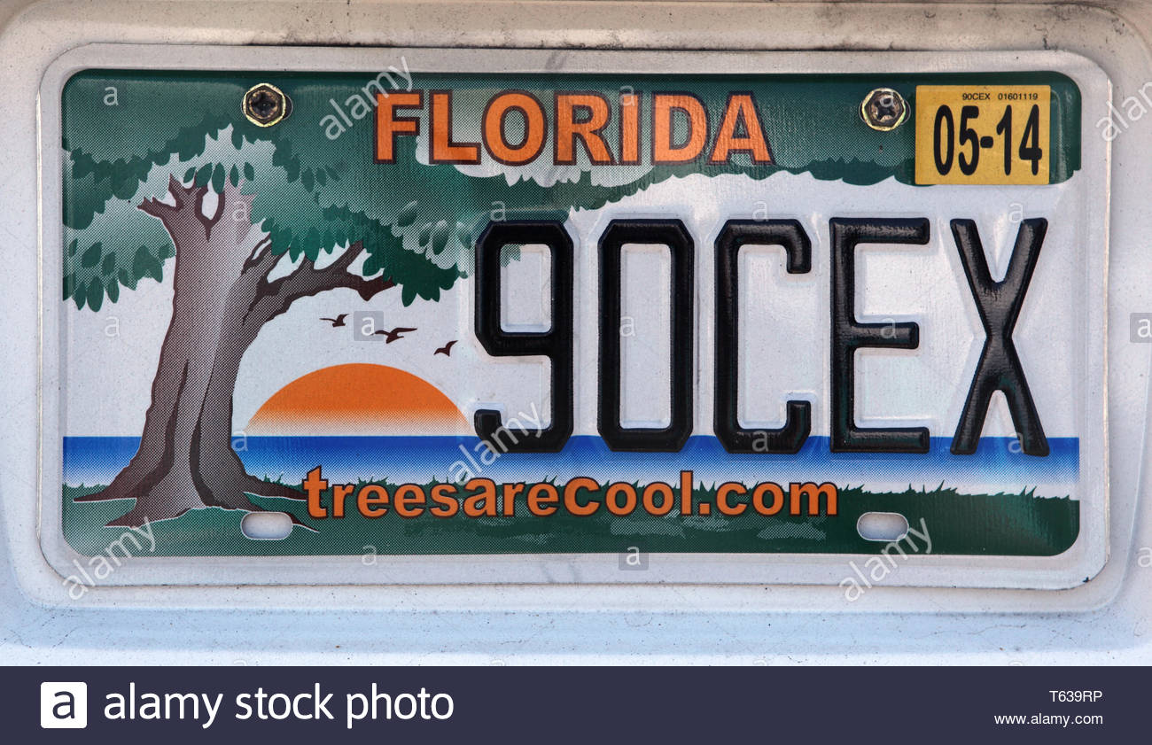 Florida License Plate Stock Photos & Florida License Plate Stock Images