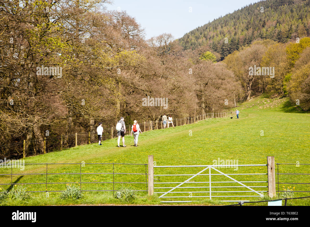 Family walking the Nidderdale Way long distance footpath through farmland in the English Yorkshire Dales England UK Stock Photo