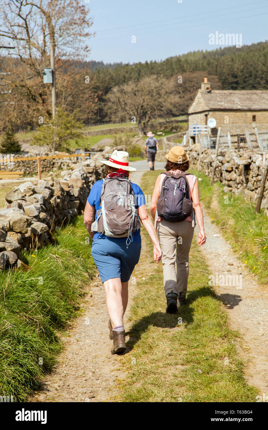 Man and woman walking the Nidderdale Way long distance footpath through farmland in the English Yorkshire Dales England UK Stock Photo