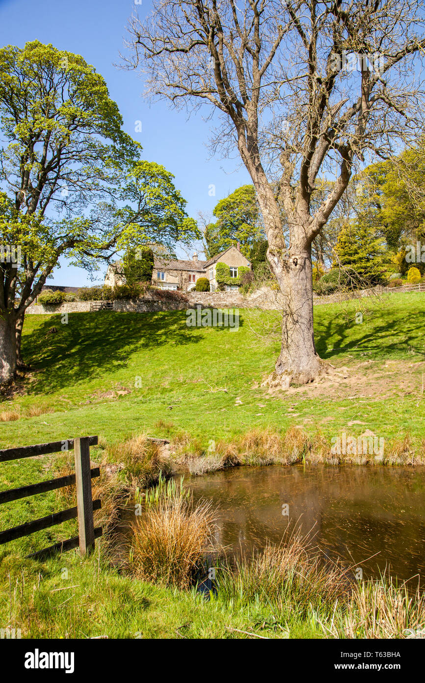 Small farm pond on the Nidderdale way in the Yorkshire Dales countryside of Nidderdale England