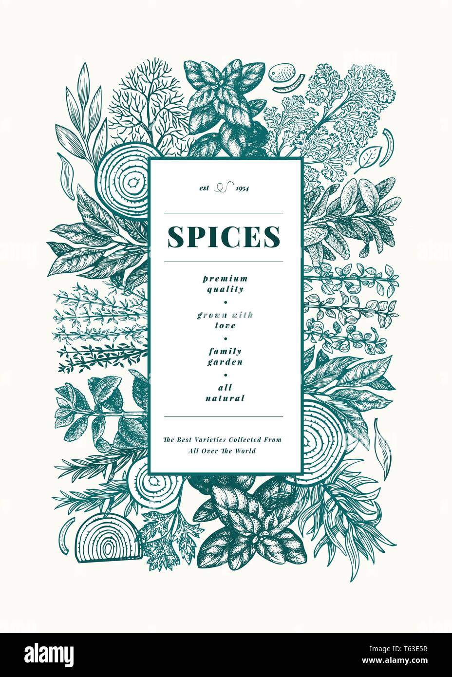 Culinary herbs and spices banner template. Hand drawn retro botanical illustration. Vector background for design menu, packaging, recipes, label, farm Stock Vector