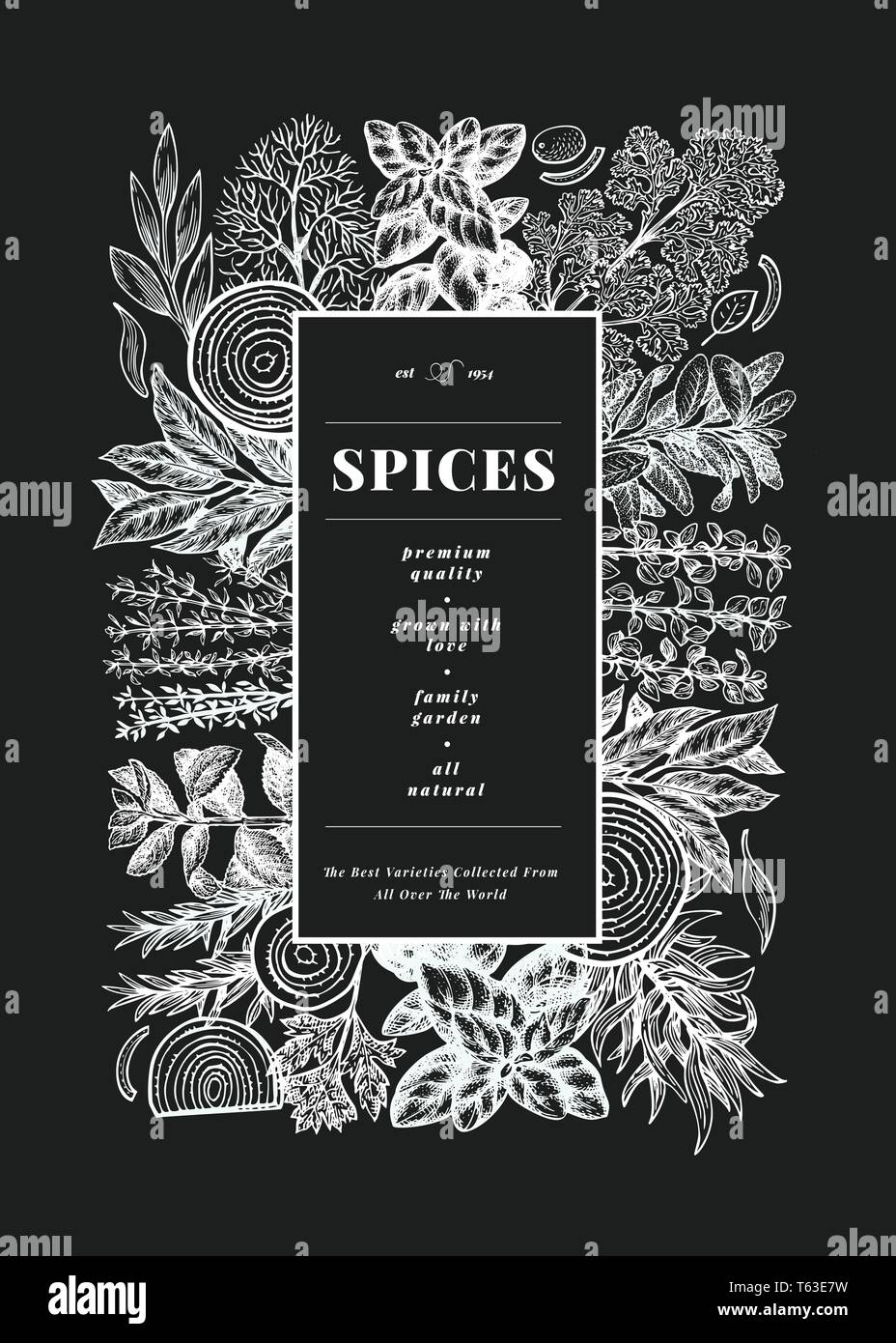 Culinary herbs and spices banner template. Hand drawn retro botanical illustration on chalk board. Vector background for design menu, packaging, recip Stock Vector