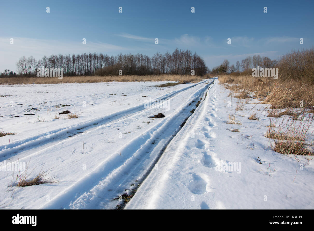 Wheel Track Rural Road Tracks tracks tracks tracks grove hi-res stock photography and images ...