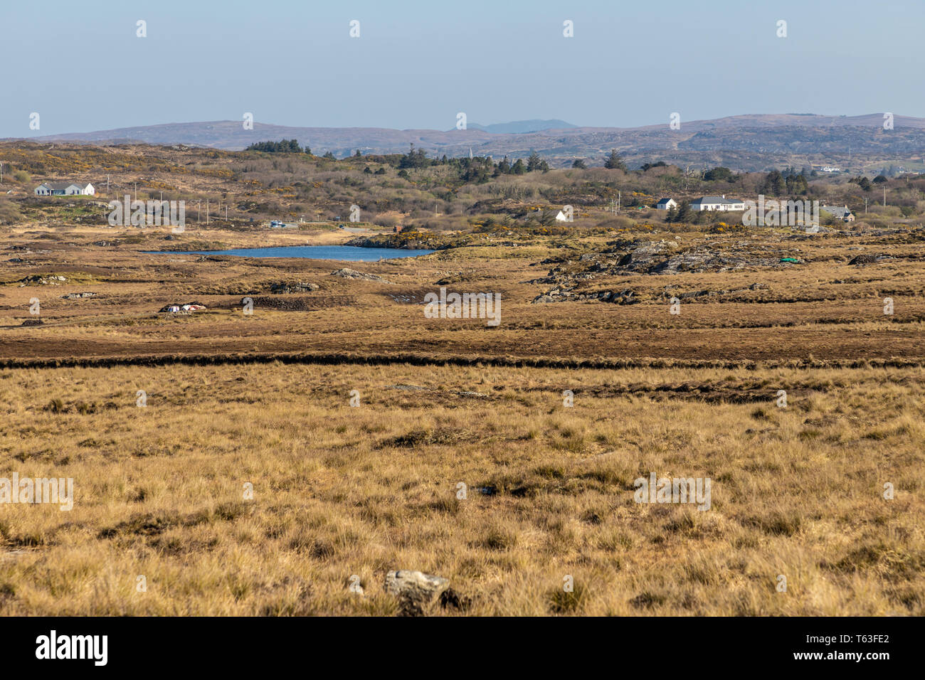 Farms with Bog, vegetation and lake, Clifden, Galway, Conemara, Ireland Stock Photo