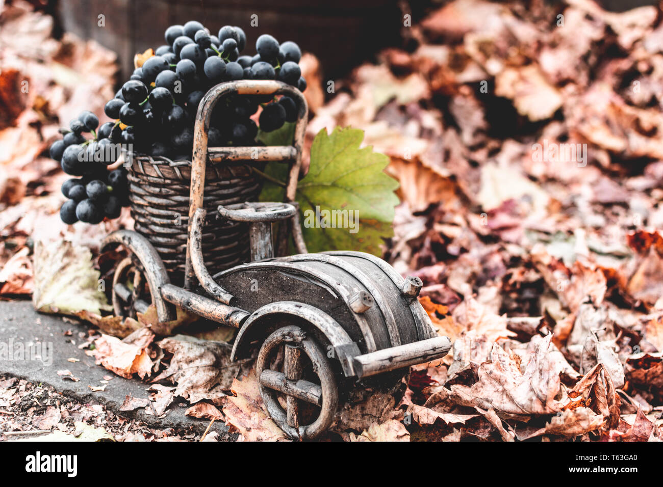 Autumn still life grapes in a wooden car on a background of autumn leaves Stock Photo