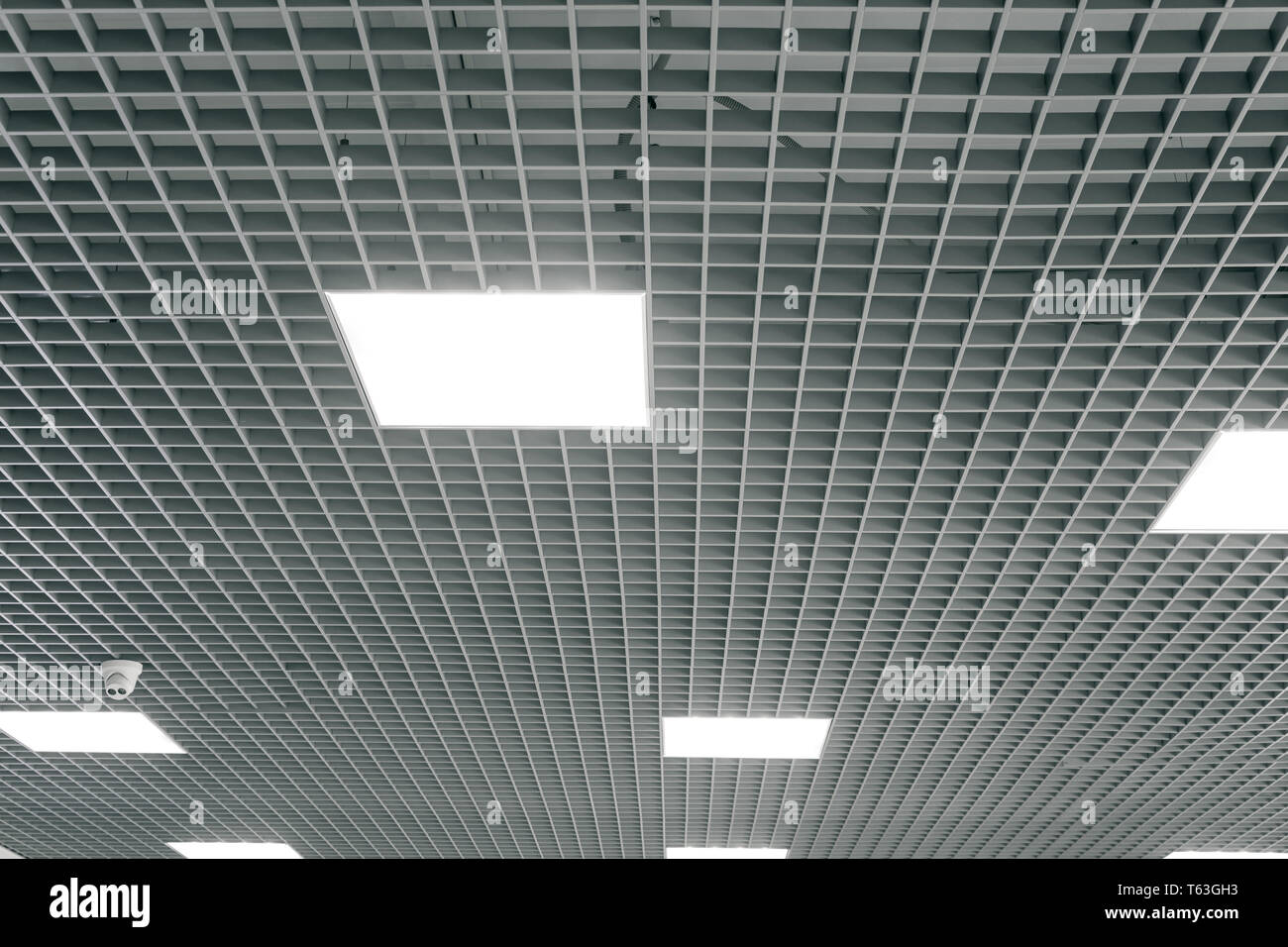 Grid Structure Of Suspended Ceiling Contemporary Interior