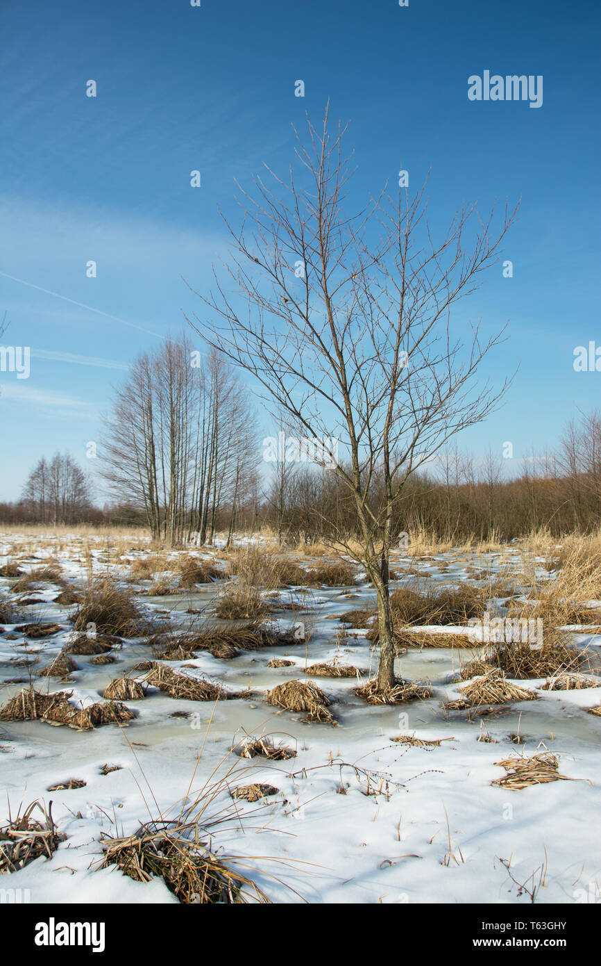 Wet areas covered with snow - winter view Stock Photo
