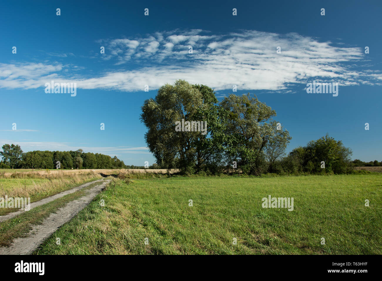 Grass growing along rural road hi-res stock photography and images - Alamy