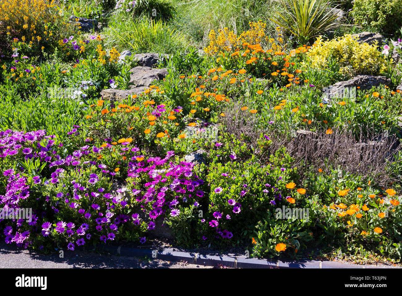 Flower bed and rockery along the Esplanade in Broadstairs, Kent. UK Stock Photo Alamy
