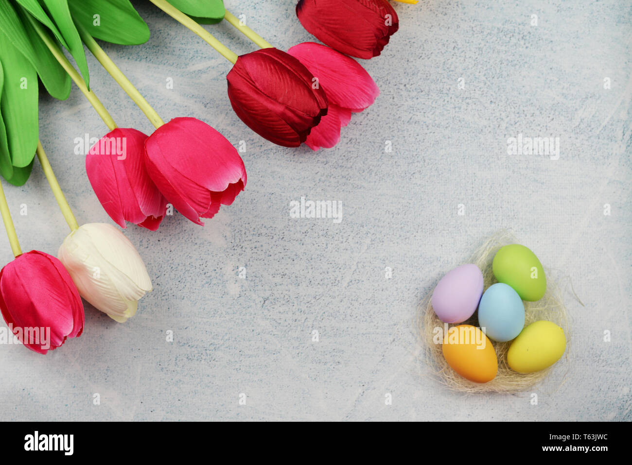 Easter painted eggs with a nest and flowers of tulips on a gray ...