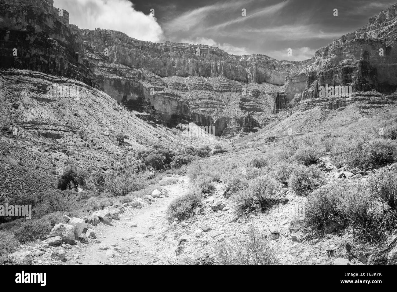 Black and white picture of the marked dirt track leading to Indian Garden and the South Rim from Plateau Point at Grand Canyon National Park, Arizona, Stock Photo