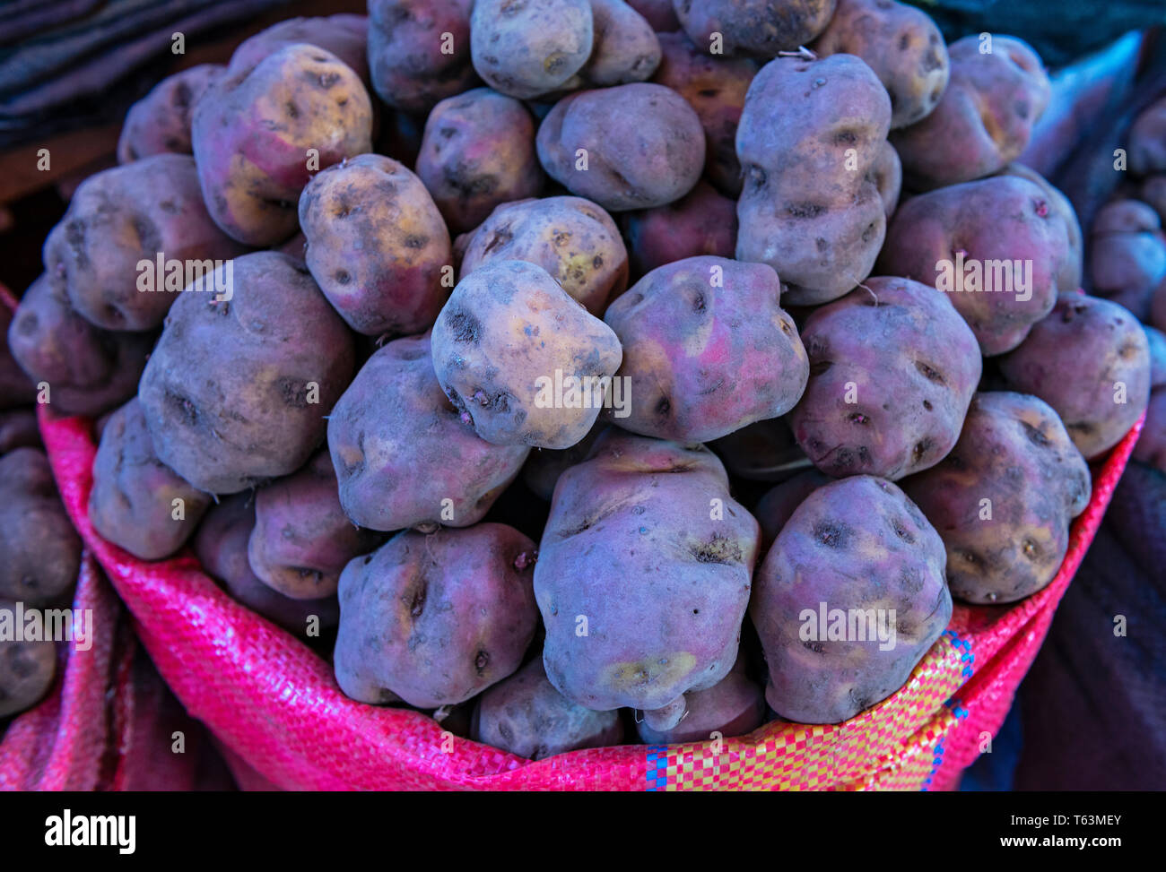 A pile of purple peruvian native potatoes in a pink basket on the local vegetable market of