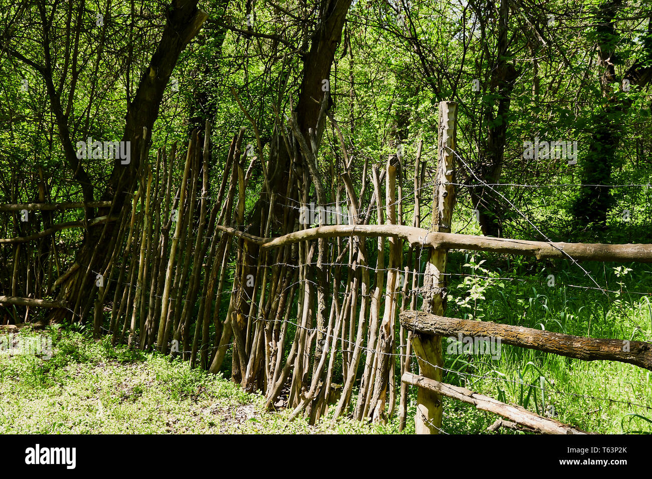 Fence made of branches hires stock photography and images Alamy