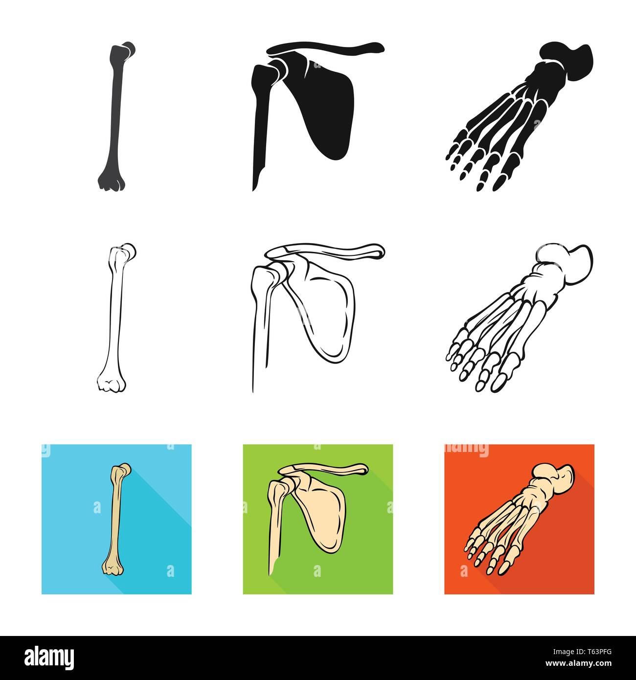 femur,foot,broken,pelvis,ankle,fibula,hip,healthy,shin,pelvic,podiatry ...