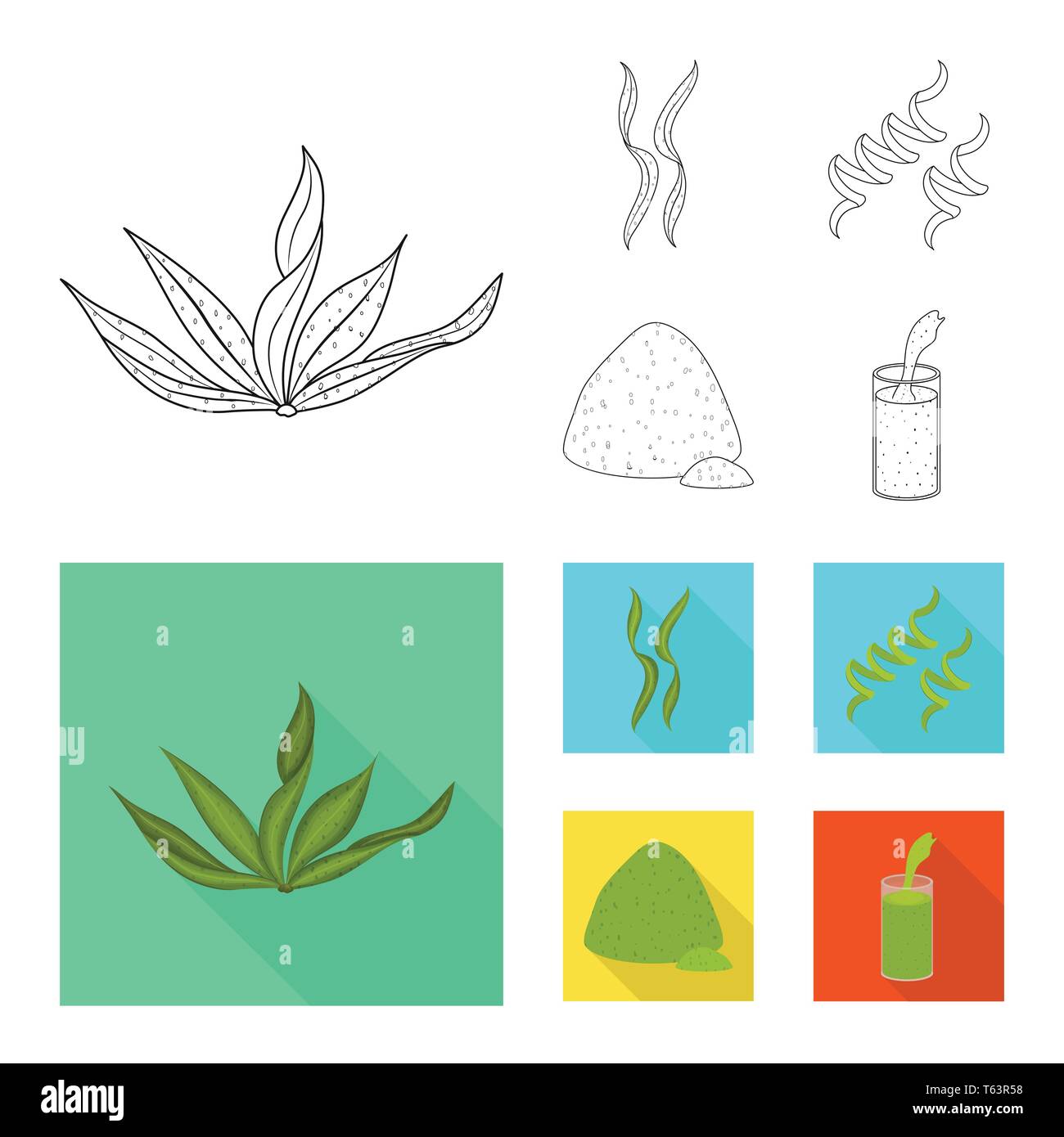 algae,supplement,smoothie,healthy,seafood,spiral,dried,organic ...