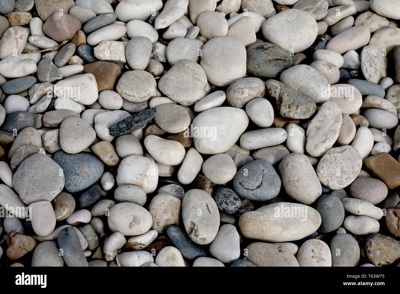 Pebbles on the beach hi-res stock photography and images - Alamy