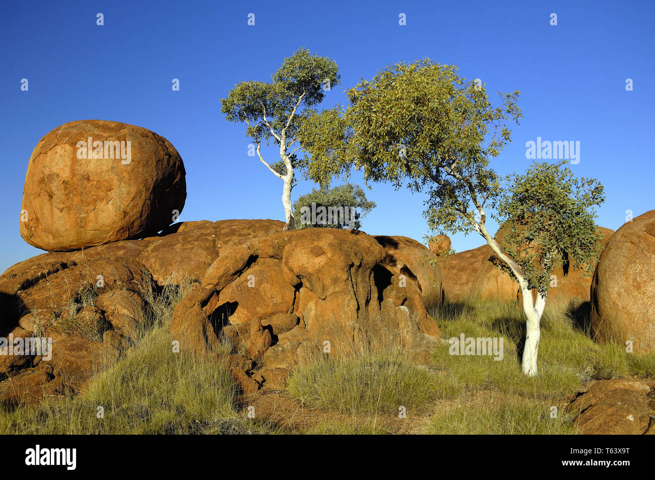 Devils Marbles, Tennant Creek, Northern Territory, Australia Stock Photo