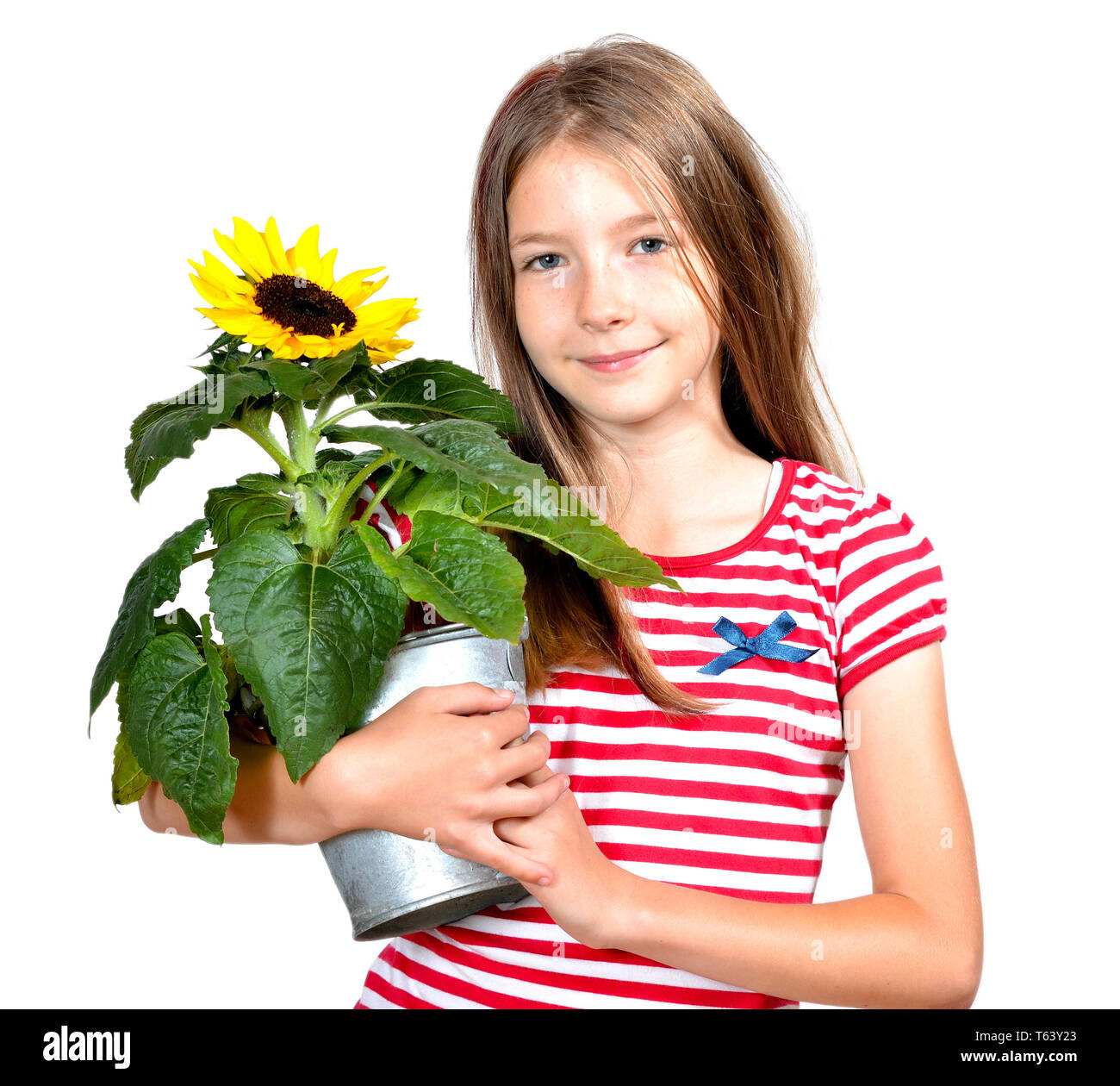 little girl with sunflower Stock Photo - Alamy