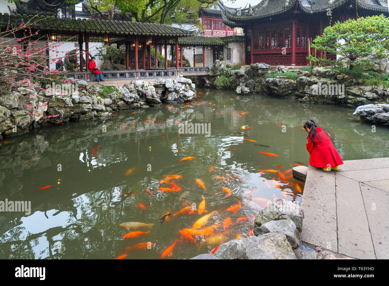 Young woman in a red coat looking at Koi in a pond in Yuyuan Gardens (also Yu Garden, Yu Gardens or Yuyuan Garden), Old City, Shanghai, China Stock Photo