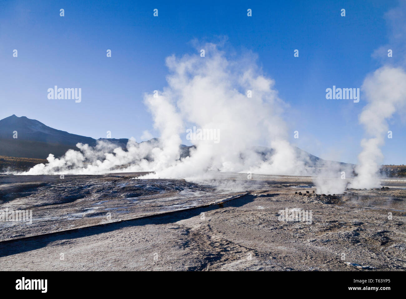 Hydrothermal vents hires stock photography and images Alamy