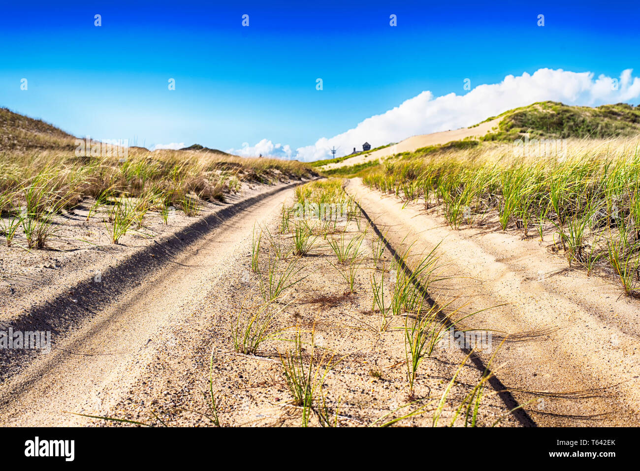 Tire tracks leading through the sand dunes on the Cape Cod National Seashore in Truro Massachusetts on a sunny blue sky day. Stock Photo