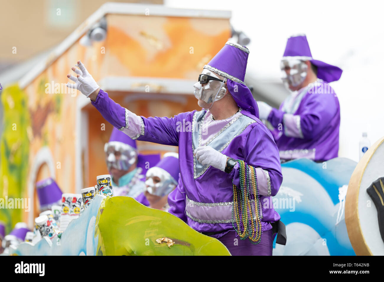 mardi gras clothing stores