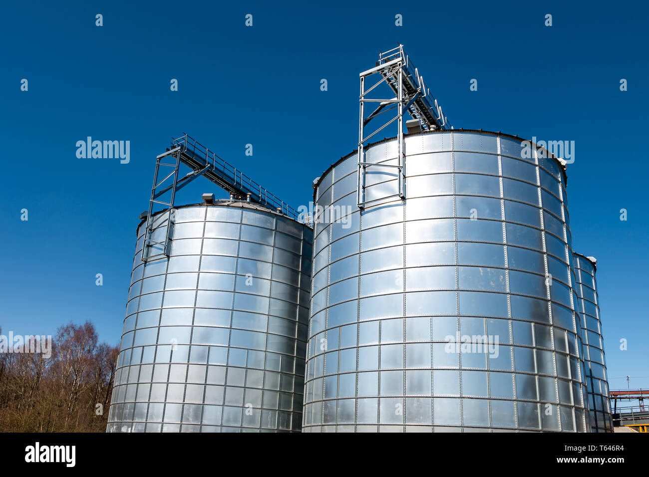 agroprocessing plant for processing and silver silos for drying