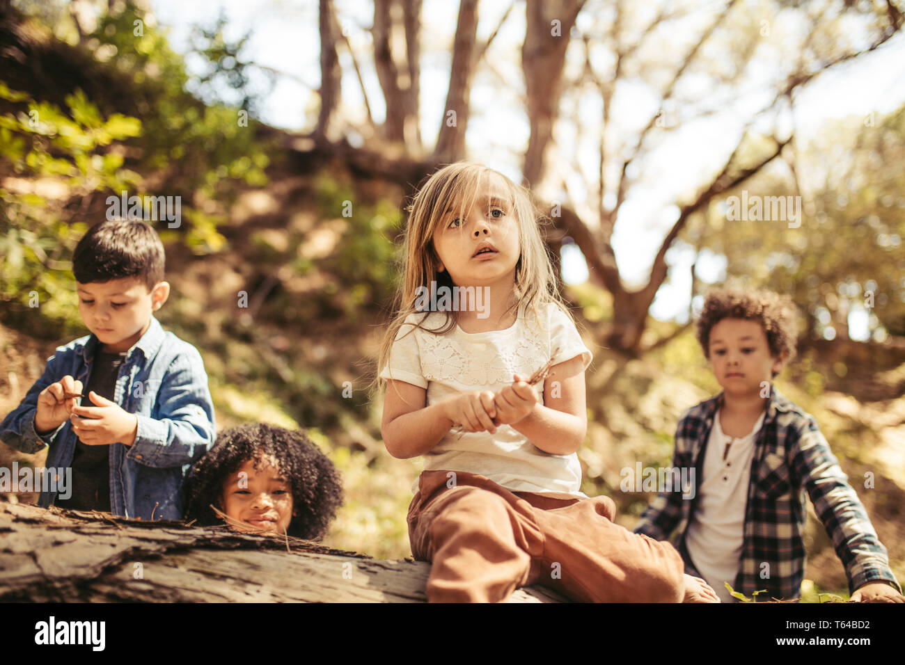 Cute girl sitting on a log with sticks in hand and her friends around in forest. Boys and a girl playing in forest. Stock Photo