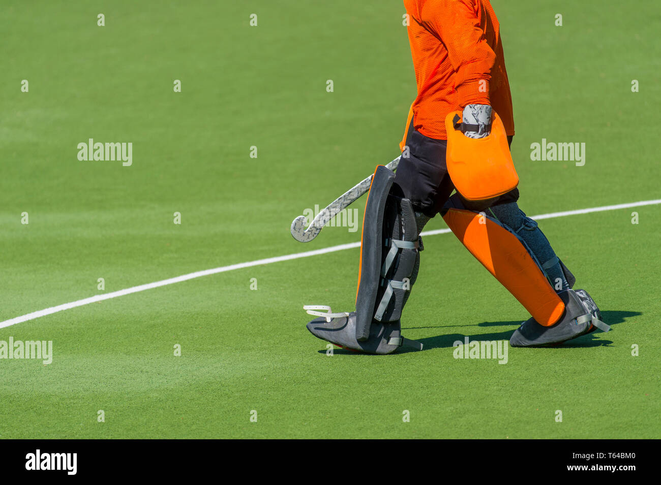 Field hockey goalkeeper on a green grass Stock Photo Alamy
