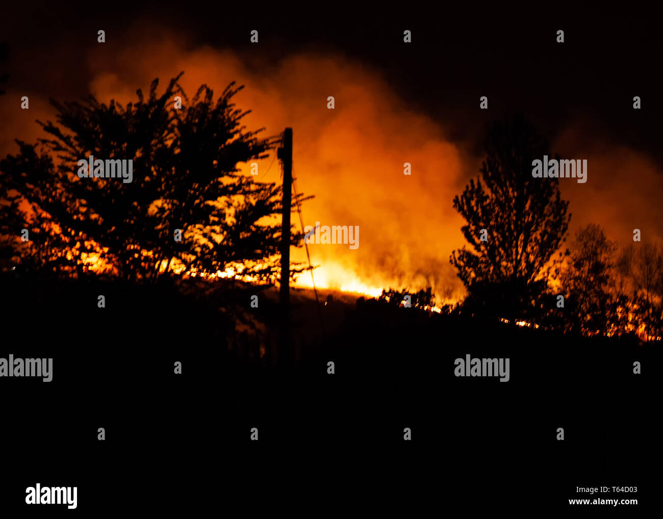 Ashdown Forest, Sussex UK 28th April 2019. Fire crews from across Sussex are dealing with a large forest fire in the South Downs National Park. Crews were alerted shortly after 9.30pm. SEUK News/Alamy Live News Stock Photo