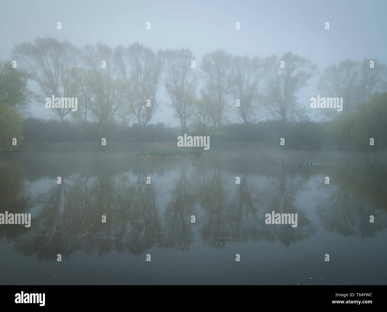Misty morning landscape lake hi-res stock photography and images - Alamy