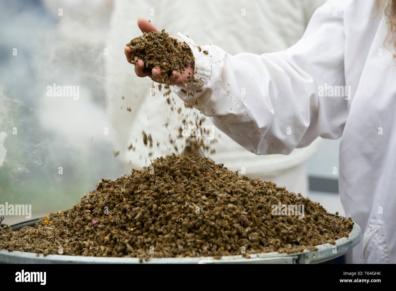 Beekeepers scatter dead bees, activists protest versus the merger of Bayer and Monsanto, versus glyphosate, farmers versus seed patents and arable poisons, beekeepers versus bee deaths, demonstrations at the Bonn World Converence Center, Annual General Meeting of Bayer AG in Bonn, 26.04.2019. | usage worldwide Stock Photo