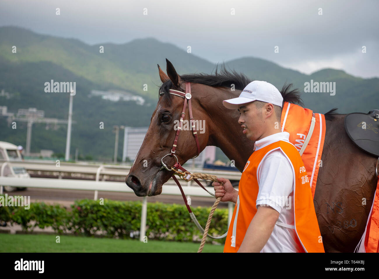 April 28, 2019 - Hong Kong, U.S. - SHA TIN, HONG KONG â€“ APRIL 25: Beauty Generatiion at trackwork on April 25 at Sha Tin Race Course in Hong Kong before starting in the FWD Champions Mile. Michael McInally/Eclipse Sportswire/CSM Stock Photo