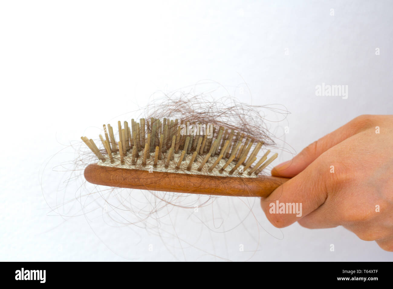 detail horizontal view of a female hand holding a hairbrush full of hair because of hair loss issue Stock Photo