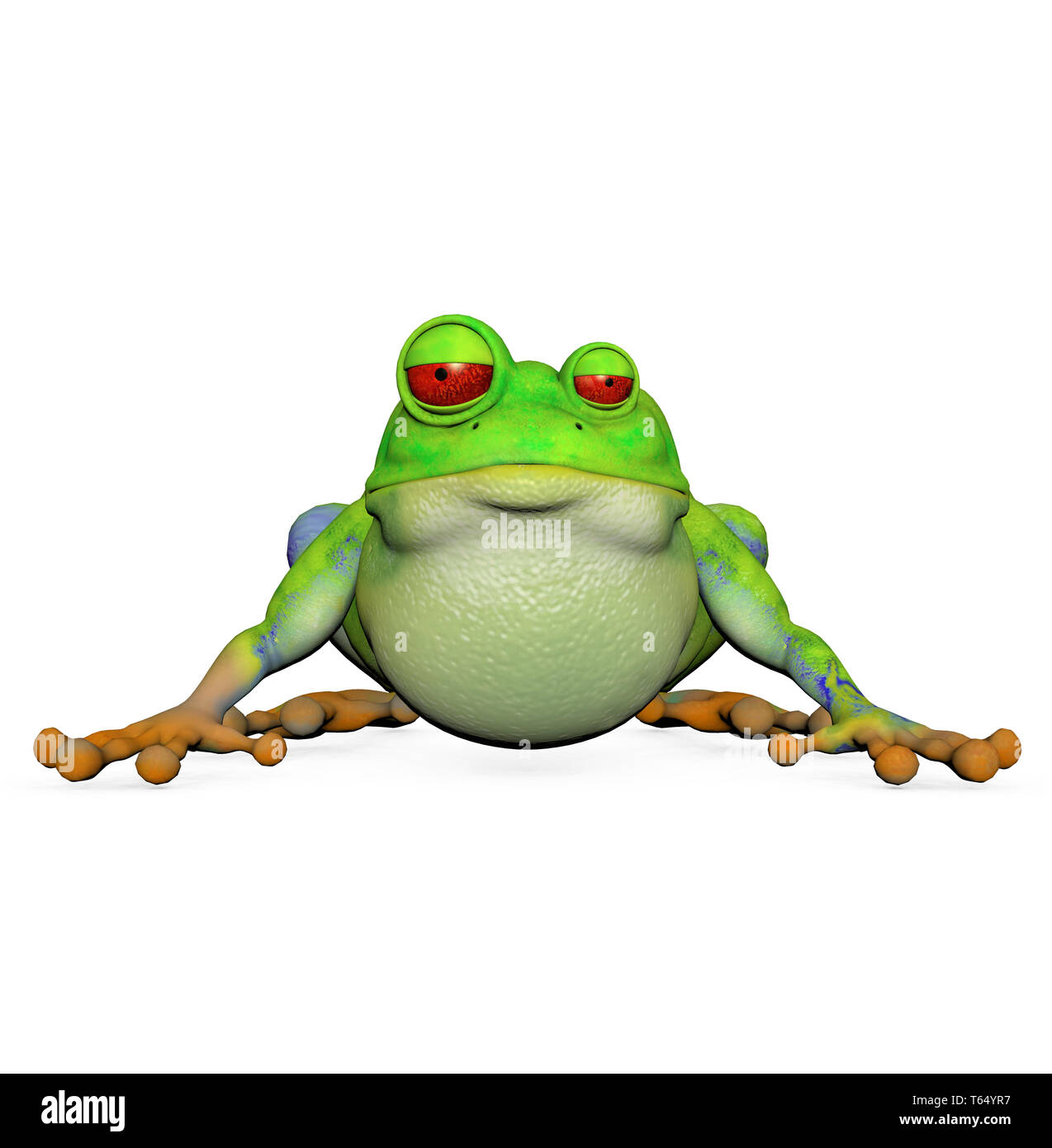 European tree frog, Hyla arborea Stock Photo