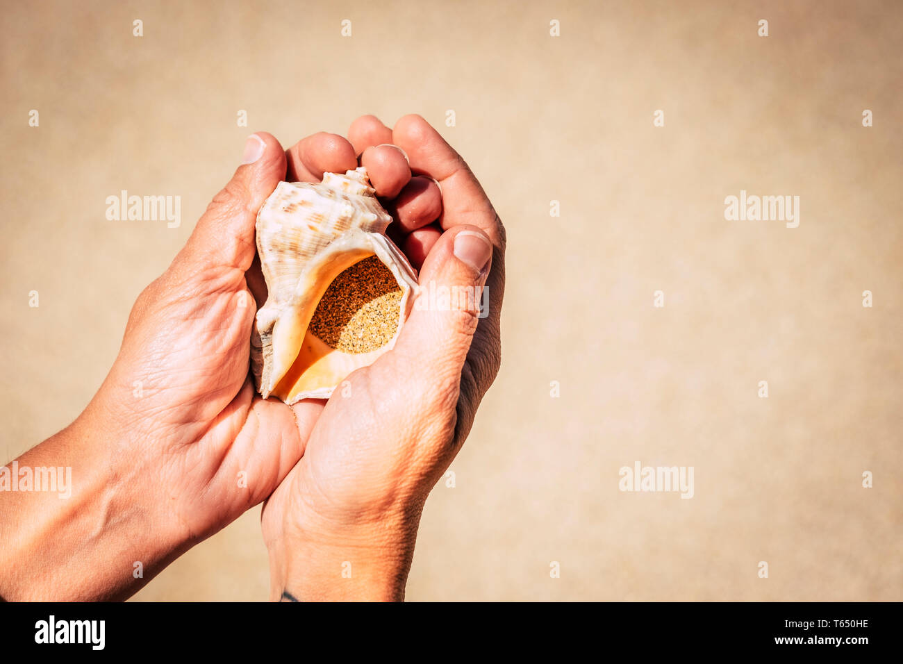 Close up for summer holiday vacation concept and respect for the nature outdoor planet - woman caucasian hands taking with care a shell full of sand a Stock Photo