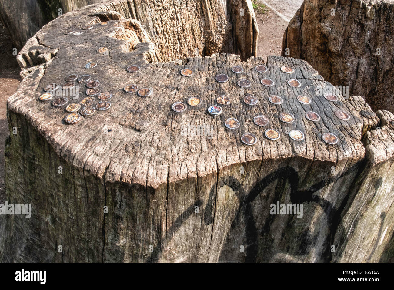 Berlin,Pankow. Weissensee State park, White Lake public park. Old rusty bottle tops pressed into decaying tree stump Stock Photo
